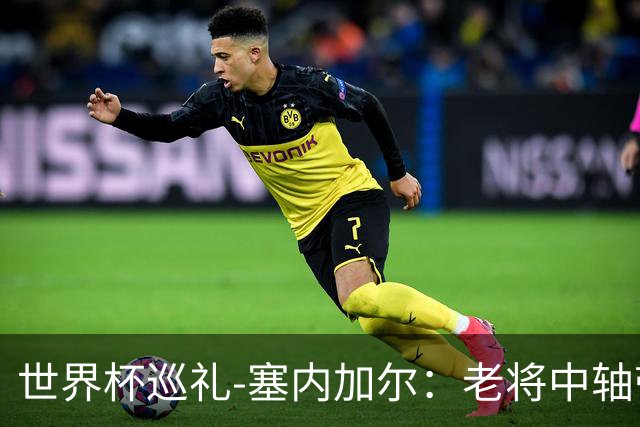 世界杯巡礼-塞内加尔：老将中轴带来安全感，非洲顶流前景可期！